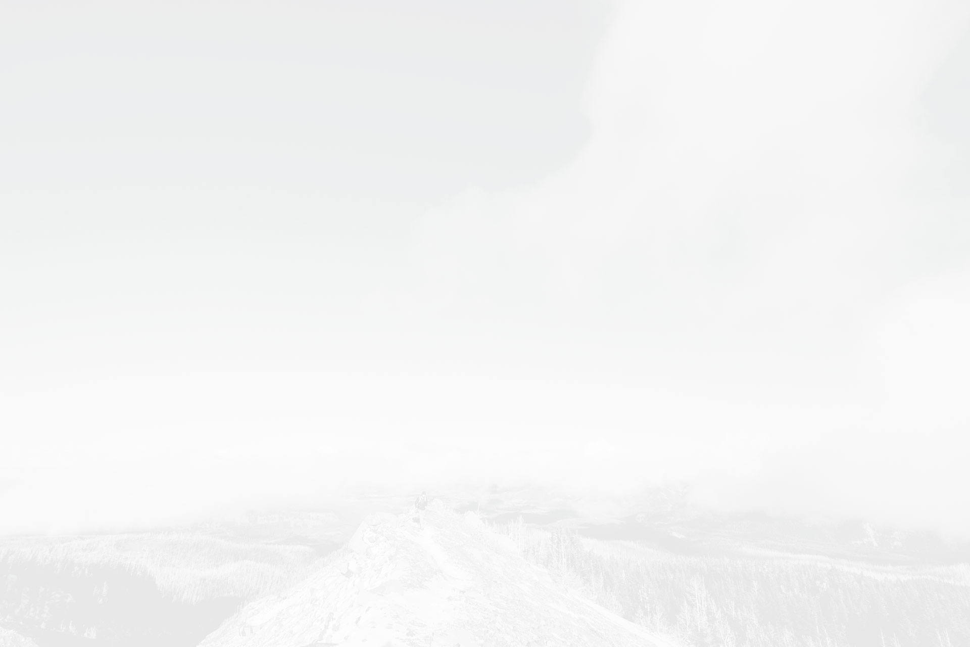 Homepage