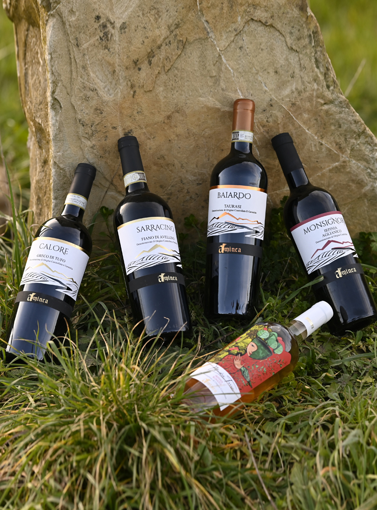 WINE TASTING VINTAGE